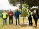 Piantati gli ultimi due alberi a Castellaro e Costarainera: termina il bel progetto del Lions Riva Santo Stefano che ha coinvolto 10 comuni
