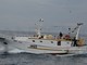 Coldiretti Impresa Pesca: un incontro a Genova per conoscere il pesce a miglio zero tra ricette e stagionalità