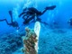 Santo Stefano al Mare: venerdì giornata di ‘citizen science’ sulla ‘secca’ con Reef Check Mediterranean Sea e un team di subacquei