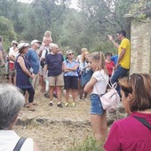 Torre Paponi partecipa ad 'Oliveti Aperti': domenica 19 giugno, dalle 17, visite guidate e degustazioni nel borgo