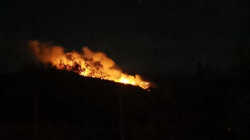 Nuovo incendio boschivo, fronte sopra Dolcedo: in azione i vigili del fuoco