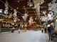 FICO festeggia il Natale: una pista di pattinaggio sul ghiaccio, degustazioni, mercatini ed eventi per tutta la famiglia